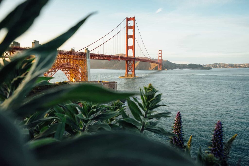 Home 25 tim foster o4mP43oPGHk unsplash 1