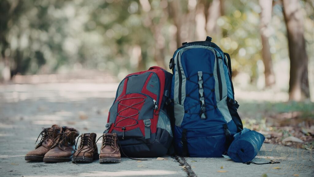Best Travel Gear 5 1 10