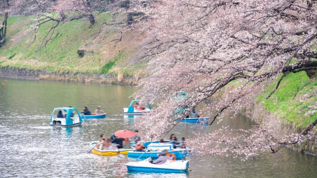 Japan in April 5 Northern Japan the smart late April move