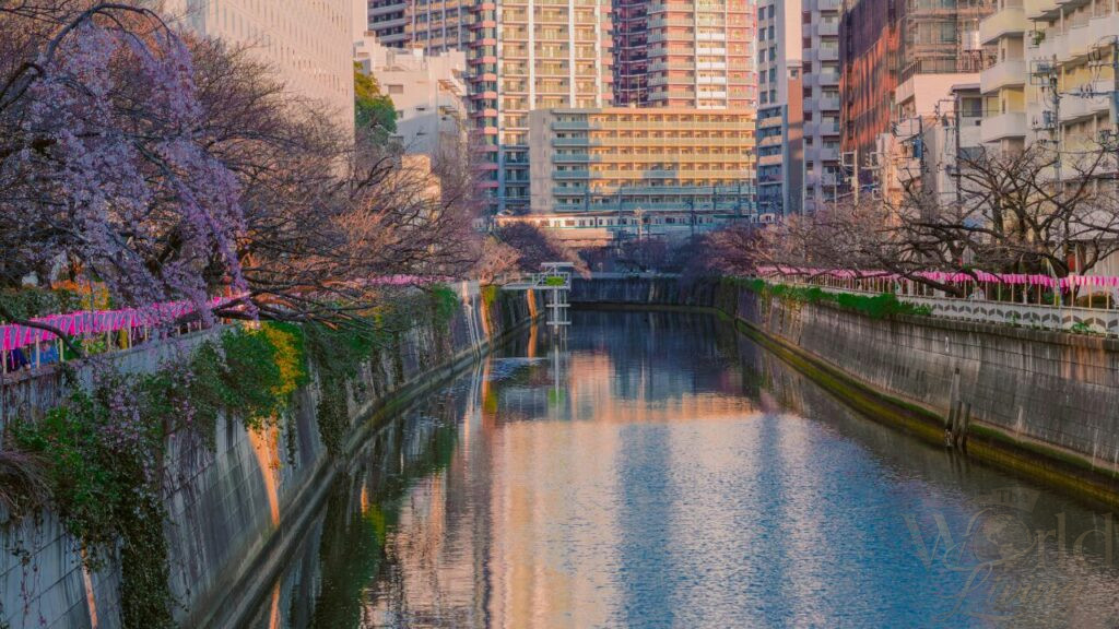 Japan in April 2 Tokyo - Japan in April