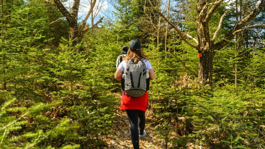 Why Nature Travel Feels So Powerful 2 Nature Travel