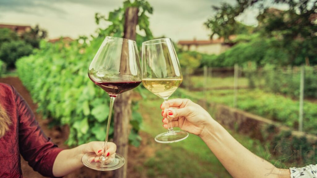 Food Experiences That Feel Like a Cultural Journey 3 Participating in a wine tasting is an excellent way to delve into the local culture.