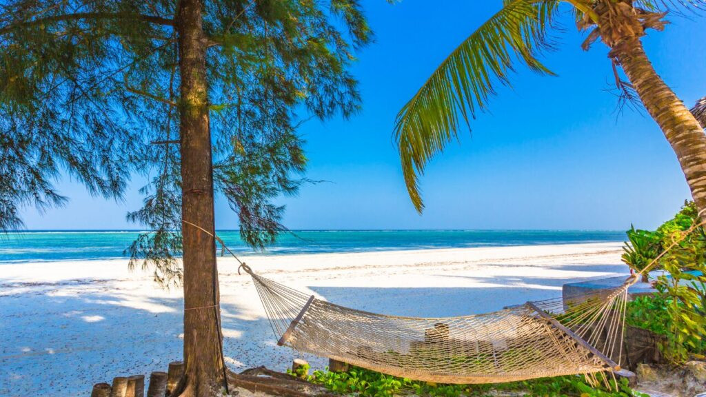 A Complete Zanzibar Experience: What to Expect Day by Day 3 Zanzibar Experience. The beaches of Zanzibar offer the perfect escape for relaxation and rejuvenation.
