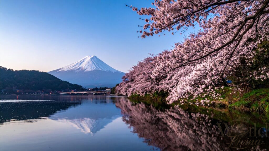 The Most Beautiful Places in Asia That Feel Unreal in Real Life 3 Beautiful Places In Asia. Asia. Witnessing Mount Fuji during cherry blossom season is a truly unforgettable sight.