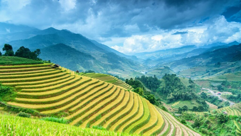 The Most Beautiful Places in Asia That Feel Unreal in Real Life 4 Beautiful Places In Asia. Asia. The Banaue Rice Terraces showcase the ingenuity of ancient agricultural practices.