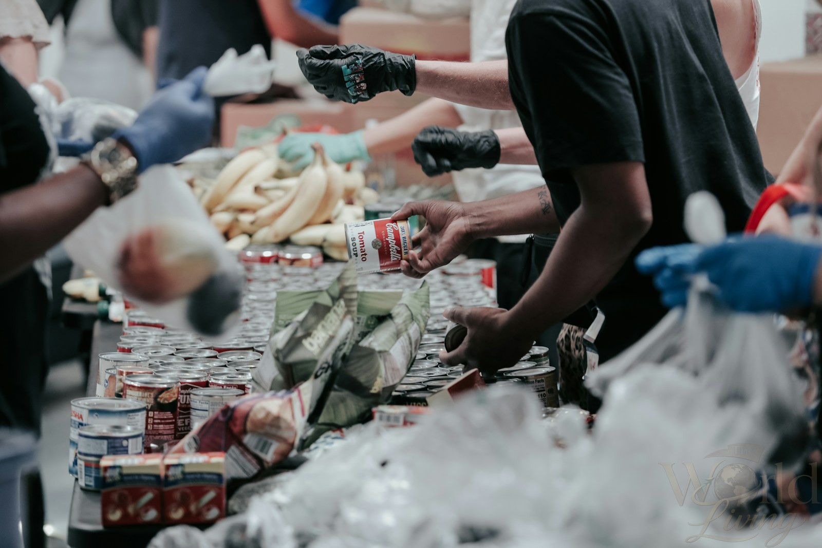 The Ultimate Destination Guide for Experiential Travelers 4 volunteers sorting canned food donations