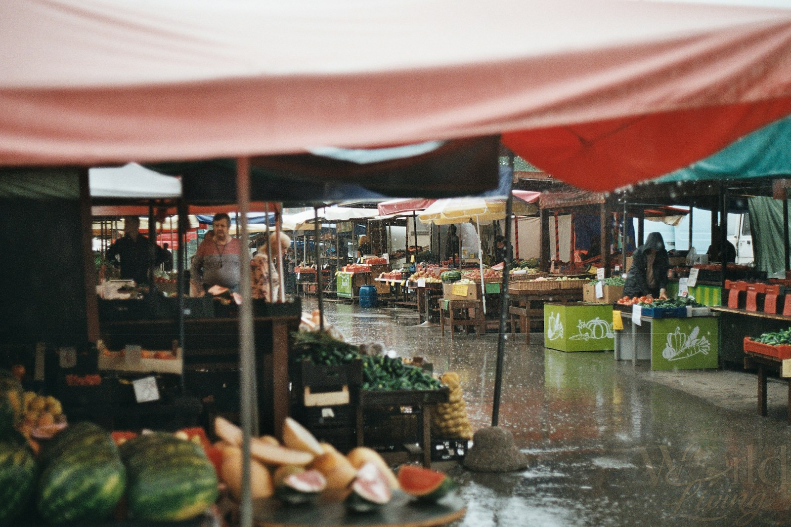 The Ultimate Guide to Experiencing Culture Through Food 2 Experiencing Culture Through Food. Guide. Exploring local markets is an amazing way to discover new foods.