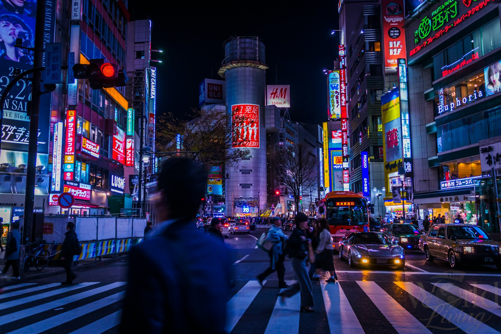 Is Solo Travel in Japan Worth It? A Real Experience Guide 2 Solo Travel In Japan. Navigating the iconic Shibuya crossing solo is a quintessential Japan experience.