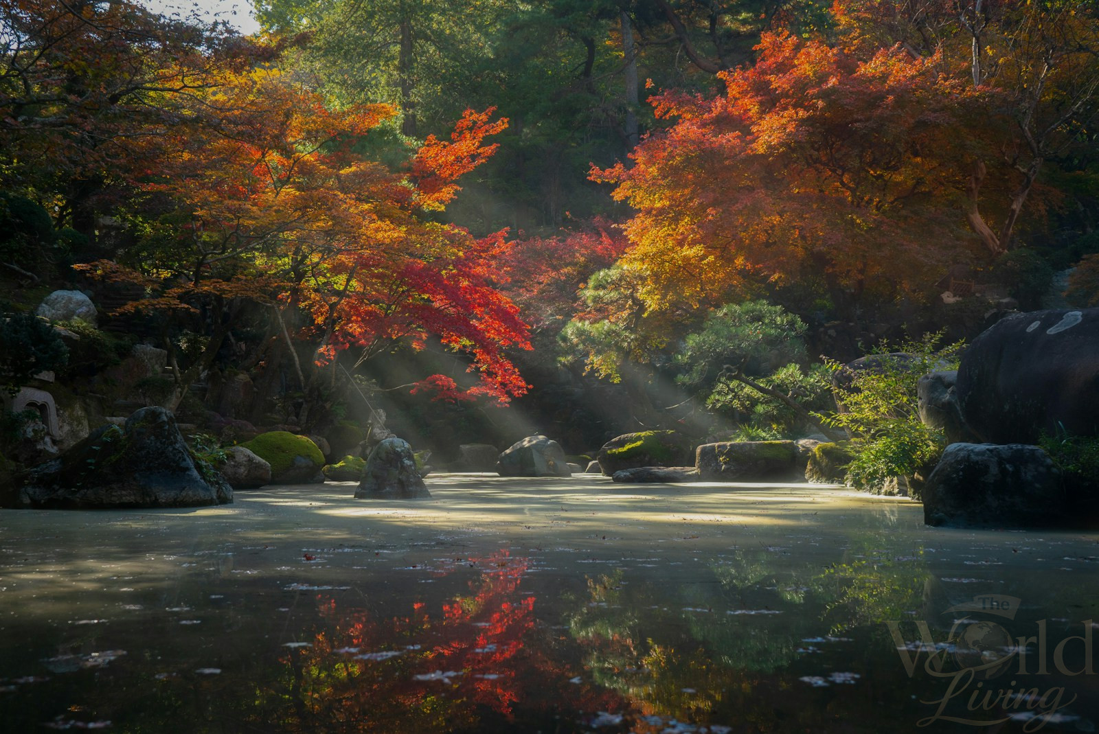 What It Really Feels Like to Experience Japan Beyond Tokyo 2 Red and green trees beside the river during daytime. Autumn is a stunning time to visit the regions surrounding Kyoto and experience Japan's natural beauty.
