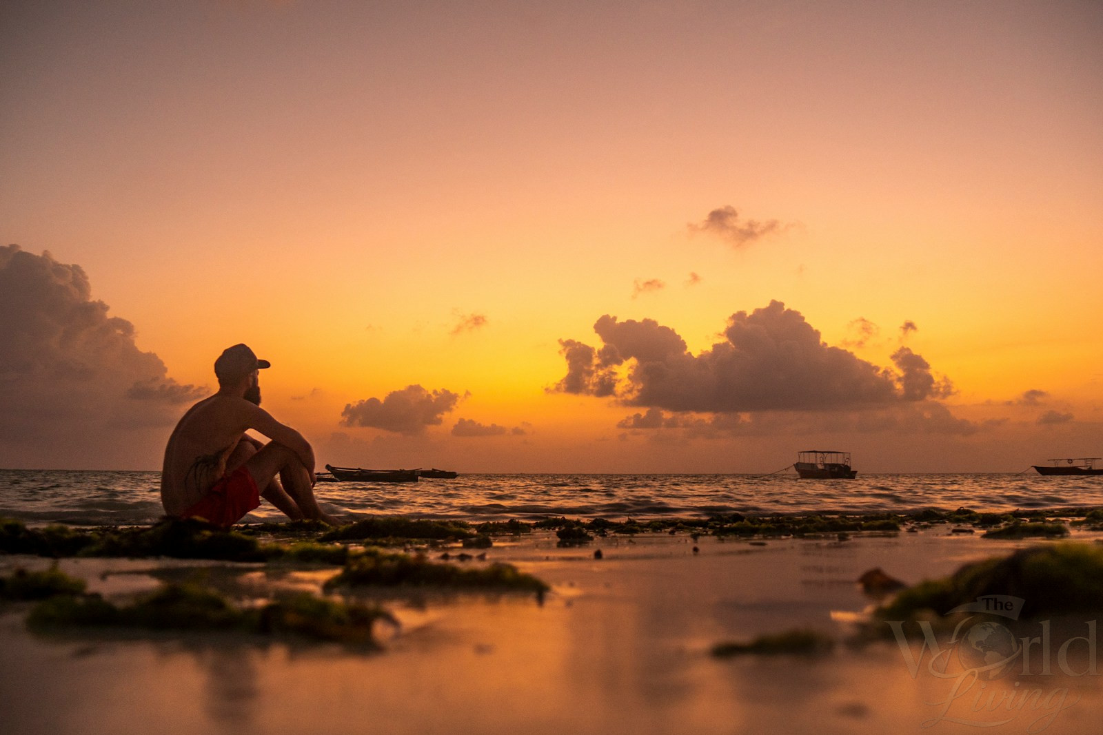 Solo Travel in Zanzibar: Safety, Costs and Real Experience 4 Solo Travel in Zanzibar. silhouette of man sitting on shore during sunset
