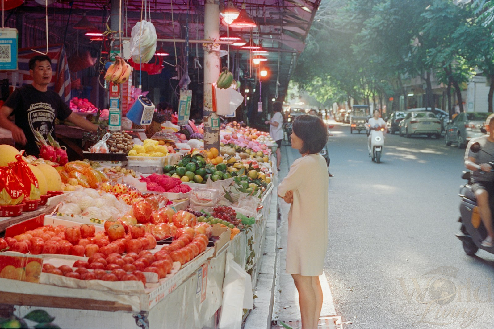Why Experiencing Different Cultures Matters 3 Experiencing Different Cultures. Woman browsing a vibrant outdoor fruit market stall.